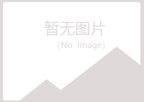 山东冰夏能源有限公司